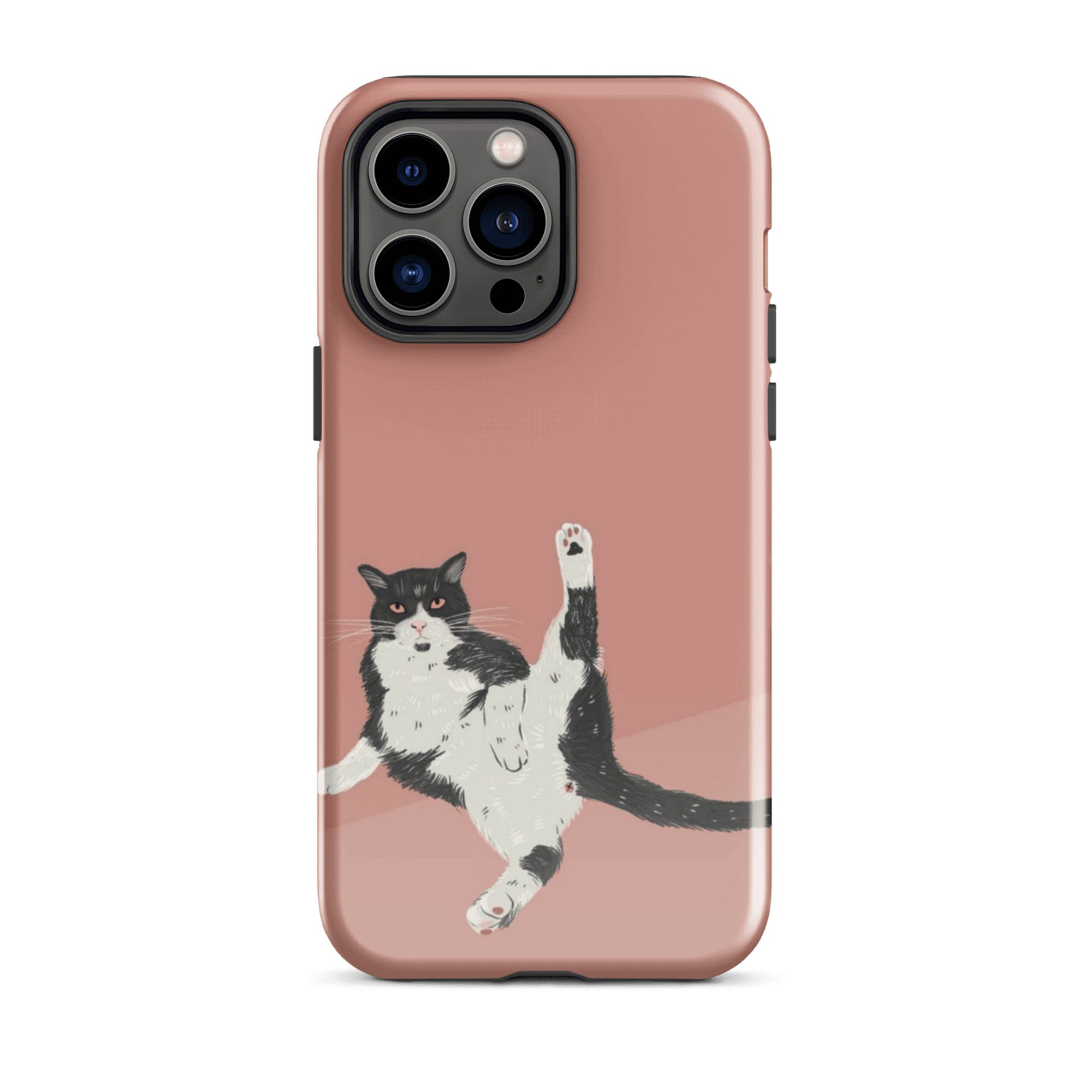 FUNNY CAT