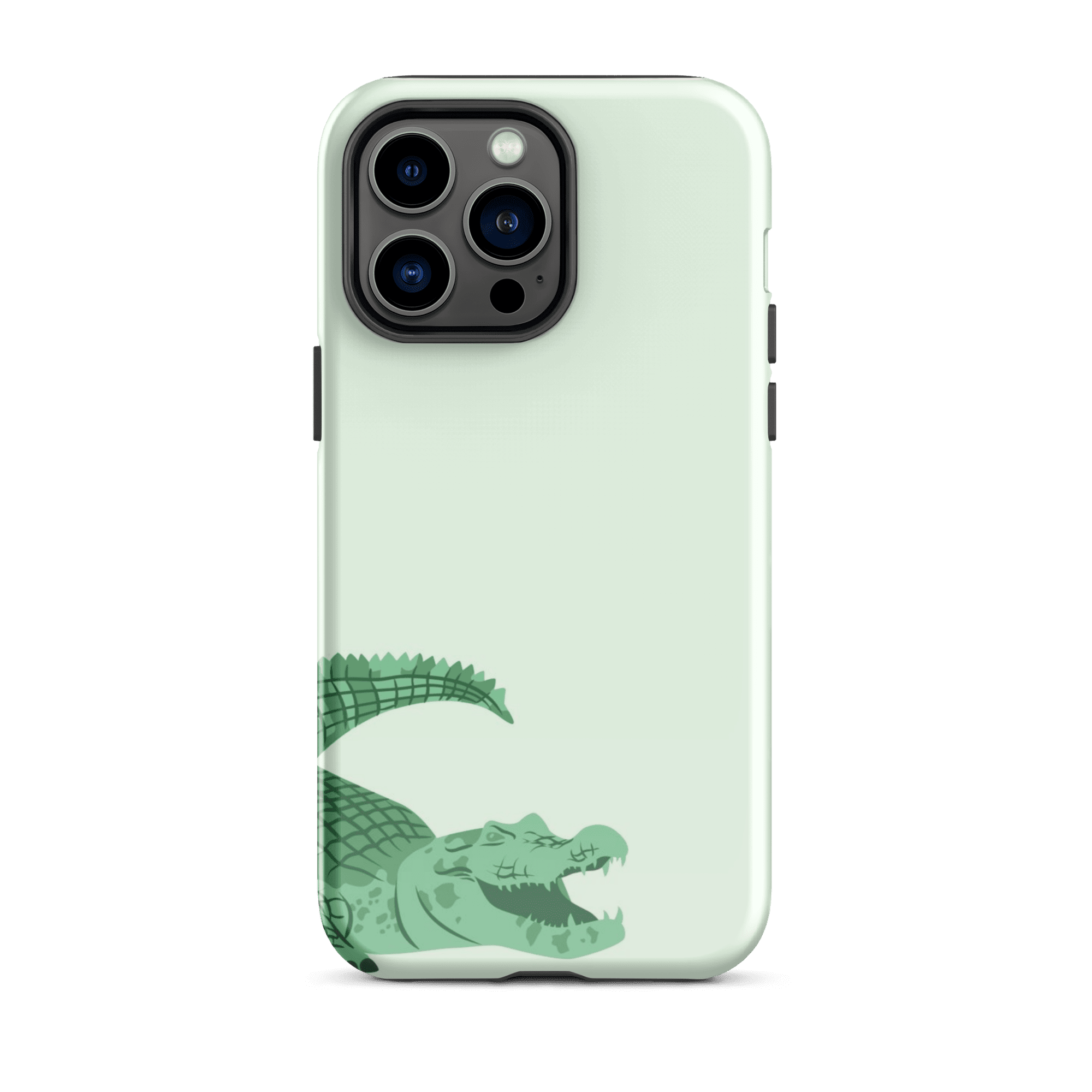 CROCODILE - Casey