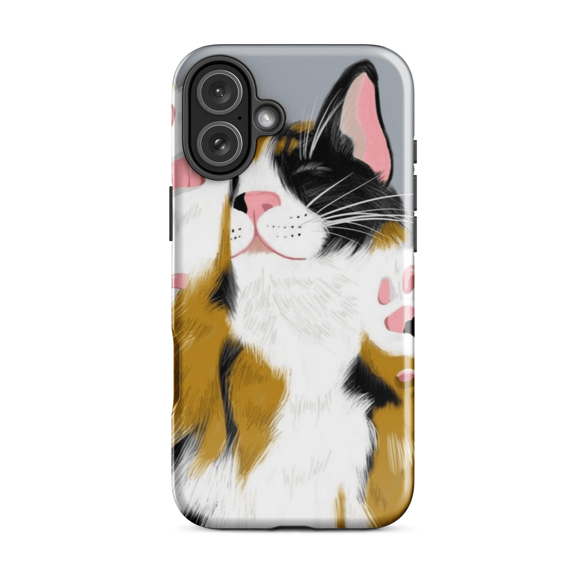 CUTE CAT - Casey