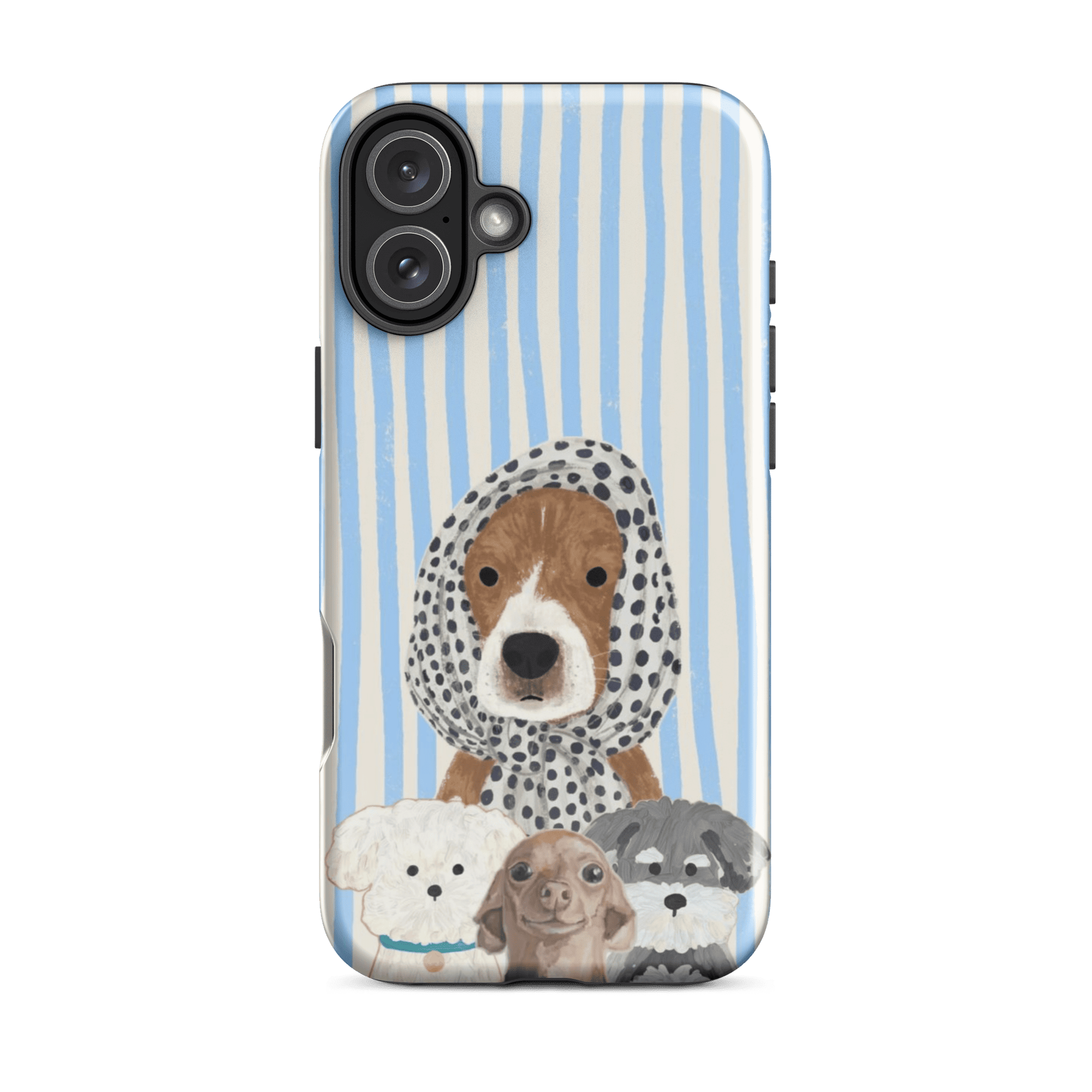 CUTE DOGS - Casey