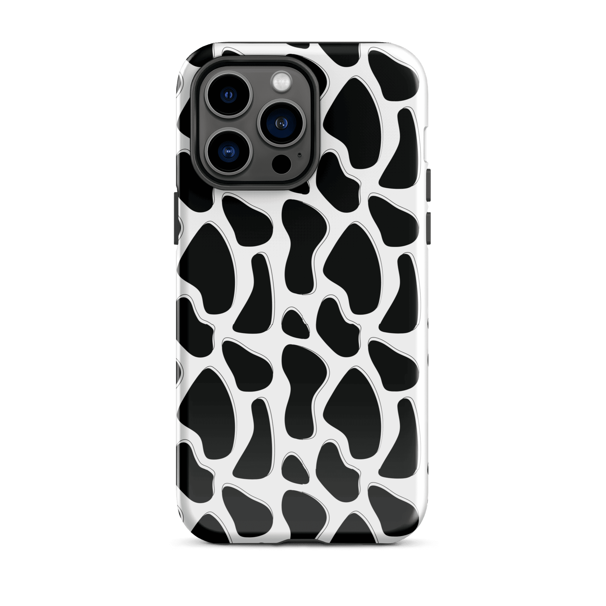 DALMATIAN - Casey