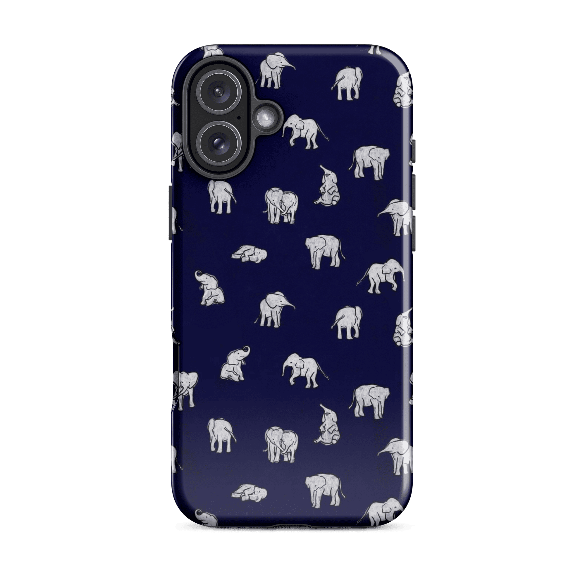 ELEPHANTS - Casey